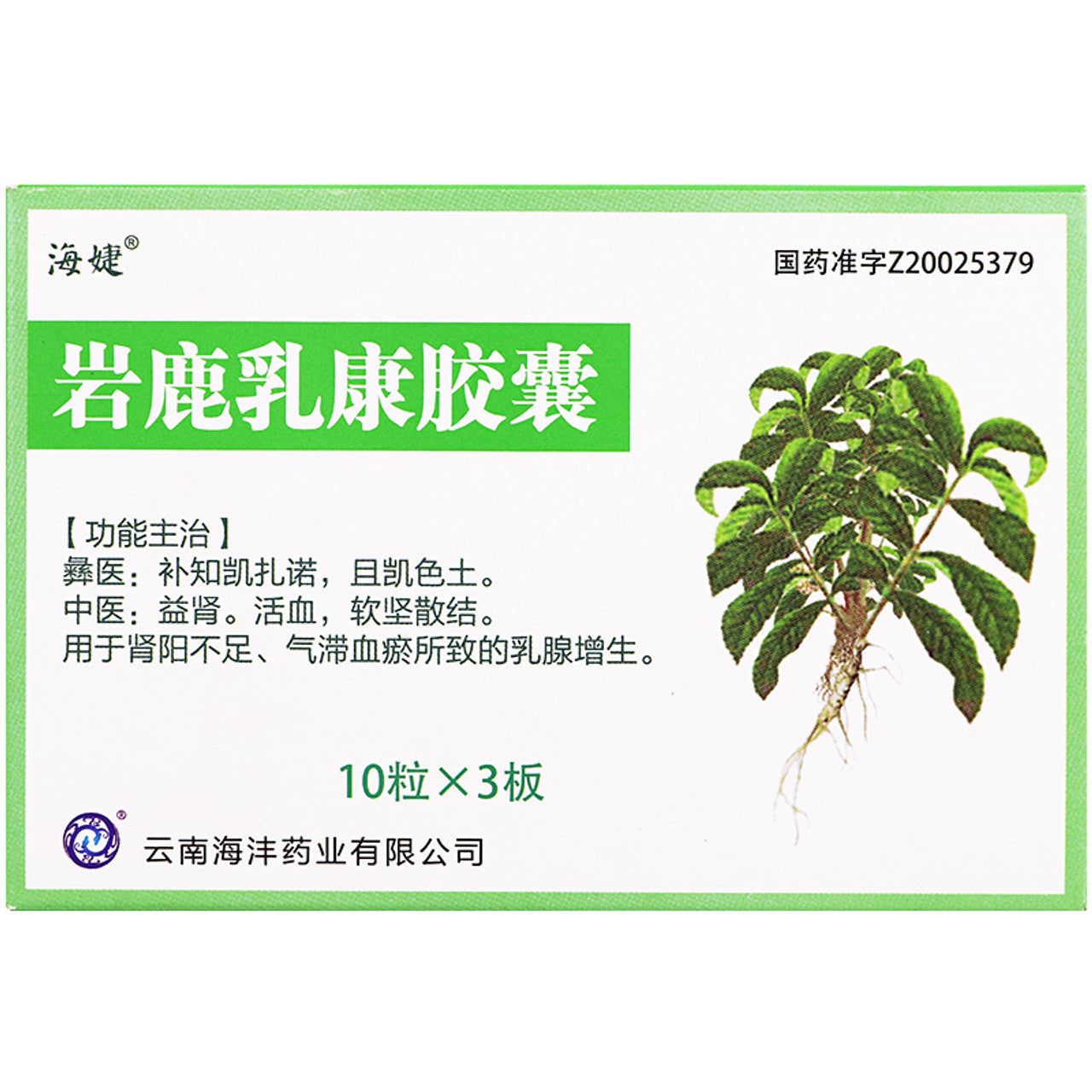 Herbal Medicine. Brand Haijie. Yanlu Rukang Jiaonang or Yan Lu Ru Kang Jiao Nang or Yanlu Rukang Capsules or Yan Lu Ru Kang Capsules for Breast Disease